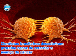 Cientistas brasileiros descobriram proteína capaz parar progressão do câncer