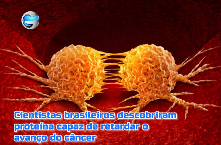Cientistas brasileiros descobriram proteína capaz parar progressão do câncer